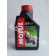 Motul Scooter Expert 2T